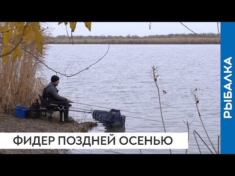 Видео: Фидер в ноябре или как не пролететь и остаться с уловом!