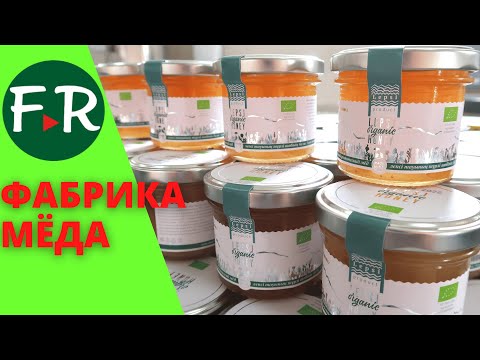 Видео: Успешный бизнес в селе. Высокогорный лепсинский мёд. Как сублимируют ягоды? Лепсинск Өнімі Казахстан