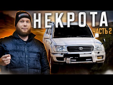 Видео: ПРОЕКТ НЕКРОТА ‼️ВОССТАНОВЛЕНИЕ КРУЗАКА‼️ЧАСТЬ 2‼️