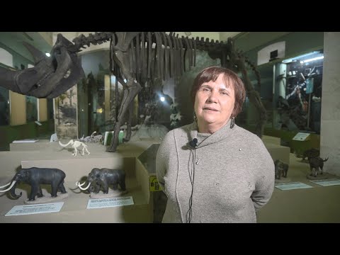 Видео: Промысловая мегафауна - 2 часть лекции «Древнейшие охотники и рыболовы Удмуртии в эпоху камня»