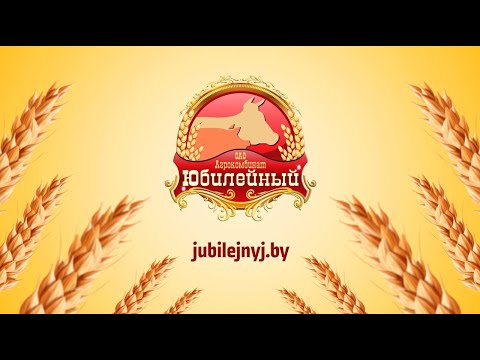 Видео: Агрокомбинат «Юбилейный» 🐷🐮 Презентационный фильм 2025 года.  Студия Видеолаб 4К