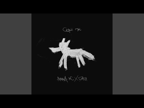 Видео: Серый пёс