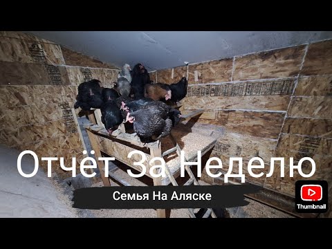 Видео: Живем на Аляске в Маленьком Поселке|Обычные Будни (33)