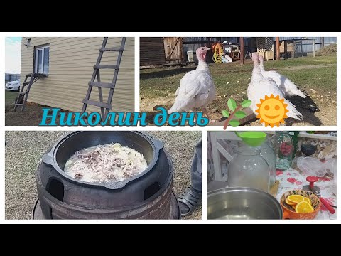 Видео: Николин день🌱🦆🐟🌿