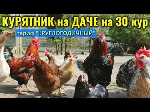Видео: Курятник НА ДАЧЕ на 30 кур "КРУГЛОГОДИЧНЫЙ"