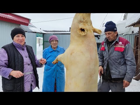Видео: Закололи свинью //съели уши🤦‍♀️// наш способ - Чисто и Удобно // ЗАСТОЛЬЕ 😋//