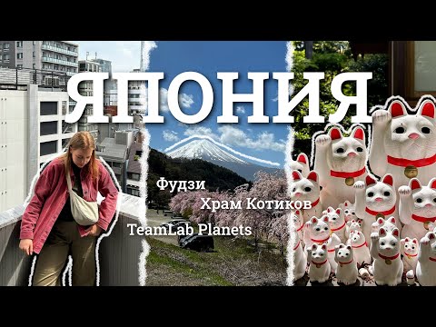 Видео: 6 | ЛУЧШИЙ ДЕНЬ В ЖИЗНИ: гора Фудзи, Храм с котиками и TeamLab Planets | с вами настя