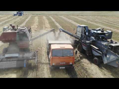 Видео: Караидельскому району - 90 лет