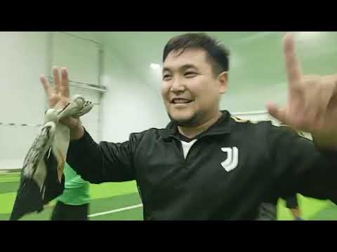 Видео: Полу Финал: Орда - Алаш