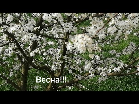 Видео: Жизнь вдали от большого города.