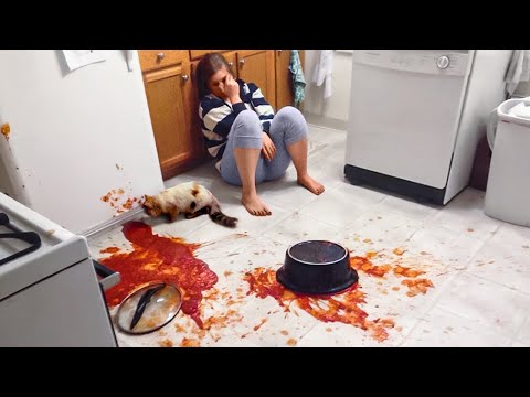 Видео: У Этих Людей Выдался День Явно Похуже Вашего