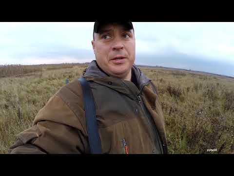 Видео: С Сергеем на пролёте 👍 по Утке 