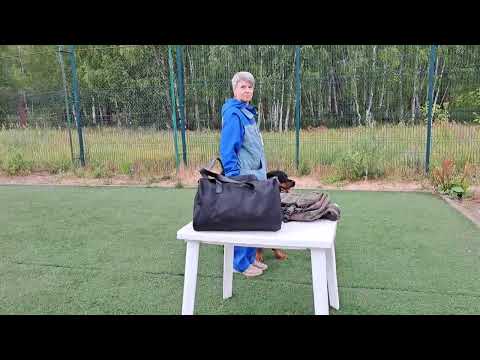 Видео: Кубок РТ по ОКД. Абушкевич Вера и ротвейлер Райс. 2 место, 87 б.