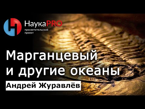 Видео: Марганцевый, доломитовый и другие океаны – Андрей Журавлёв | Лекции по палеонтологии | Научпоп