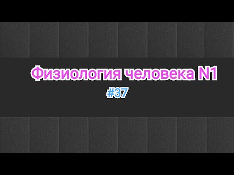 Видео: Физиология. Регуляция сердце 3 часть. Гуморальная регуляция ❤️. #37