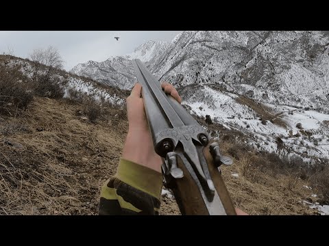 Видео: Охота на КЕКЛИКА / Охота на Чёрной Горе / Ружье ТОЗ БМ-16