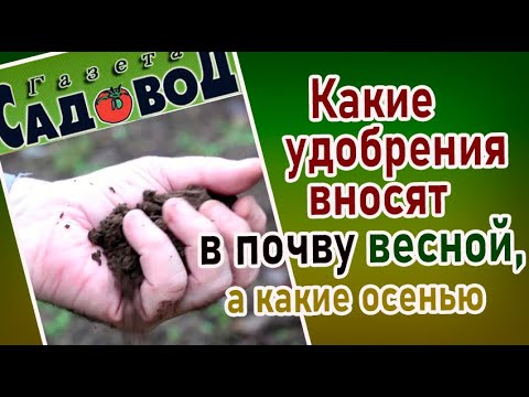 Видео: КАКИЕ УДОБРЕНИЯ ВНОСИТЬ В ПОЧВУ ВЕСНОЙ, а какие осенью