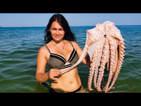 Видео: Гигантский Морской Осьминог для прекрасного ужина! Морское блюдо для ценителей