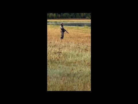 Видео: Куьунну булт 2025