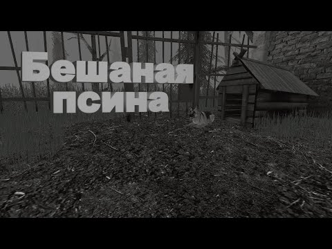 Видео: Бешаная псина ➤ Metel #2