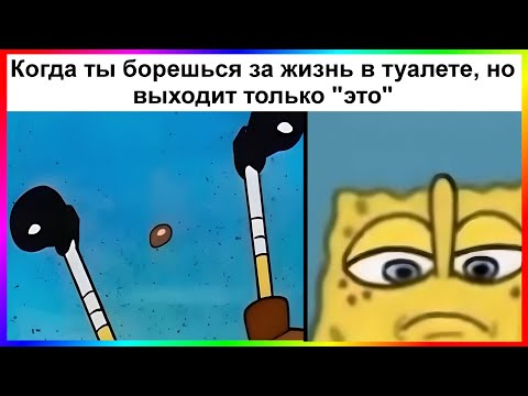 Видео: тик ток борется за жизнь | подборка мемов