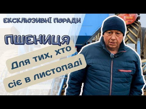 Видео: ОЗИМА ПШЕНИЦЯ | Поради тим, хто сіє в листопаді...