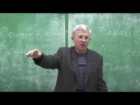 Видео: Медонос фацелия, козлятник, синяк - Пермакультура - Земледелие