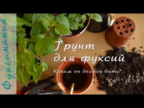 Видео: Грунт для фуксий