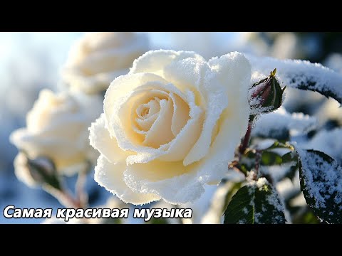 Видео: Прекрасная музыка для души🌿 Мелодия осени🌿Прекрасная музыка Сергея Грищука