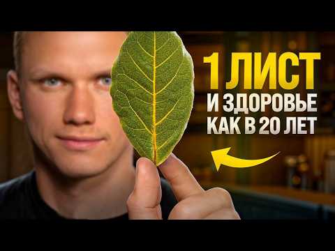 Видео: Лавровый лист — спасение от 1000 болезней. Почему я пью лаврушку