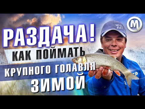Видео: Рыбалка зимой! Как поймать крупного голавля?