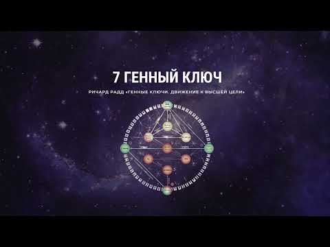 Видео: Ричард Радд 7 Генный ключ