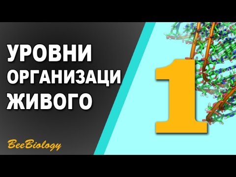 Видео: Урок по Биологии №1 - Уровни Организации Живой Материи