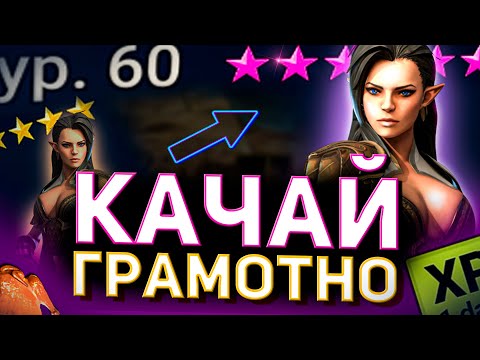 Видео: Прокачка корма От и До! Качай героев грамотно в Raid shadow legends!