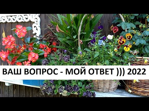 Видео: Отвечаю на ваши вопросы)))