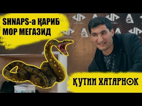 Видео: КУТИИ ХАТАРНОК #3 бо SHNAPS I КАЖЕТСЯ НАЩУПАЛ ПО ТАДЖИКСКИЙ AVLOD MEDIA