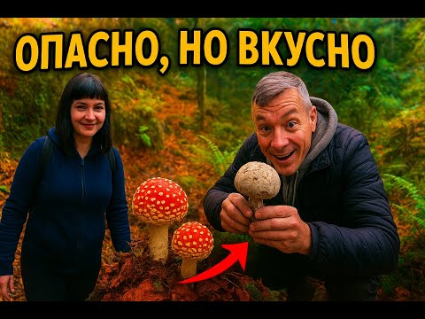 Видео: 🍄БЕРЁМ ЛУЧШИЕ ИЗ ХУДШИХ. ЛЕСНОЙ ШАШЛЫК .