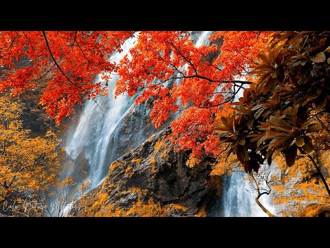 Видео: Красивая расслабляющая музыка 🍂 Звуки фортепиано и пение птиц с потрясающими осенними видео для рас