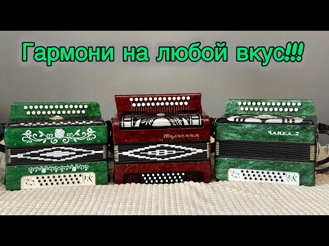 Видео: ТУЛЬСКАЯ ИЛИ ШУЙСКАЯ??? Гармони на продажу
