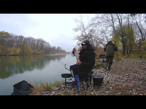 Видео: Кто умеет-тот ловит! Фидер по холодной воде!