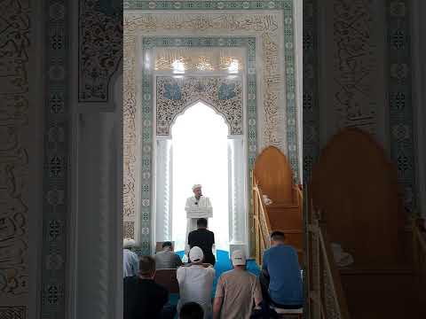 Видео: Балықтың басы тәтті болады . 