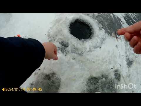 Видео: Перволедок на старый новый год .Открытие сезона твердой воды .