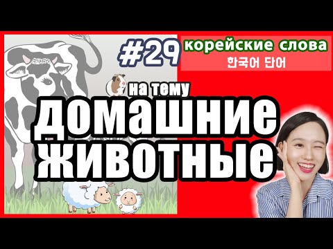 Видео: Названия домашних животных на корейском языке (с транскрипцией)