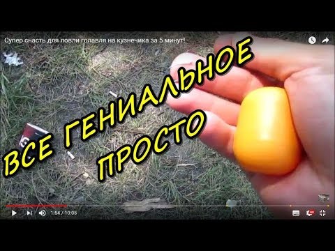 Видео: Супер снасть для ловли голавля на кузнечика за 5 минут!