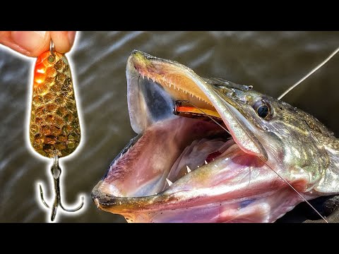 Видео: ЩУКА АТАКУЄ ЗАЛІЗО! Роздача Щуки На Коливалку Та Блешню!