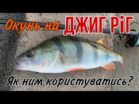 Видео: Як ловити пасивного ОКУНЯ на ДЖИГ РІГ? Фішки й секрети!