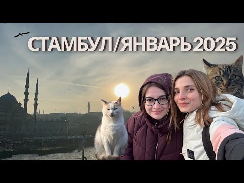 Видео: Стамбул / Январь 2025