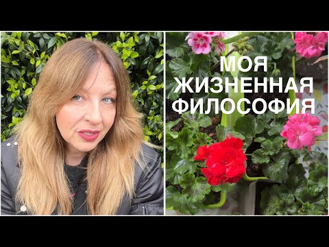 Видео: ДЕПРЕССИЯ, РАБОТА, БРАК ИЛИ ПАКС ВО ФРАНЦИИ