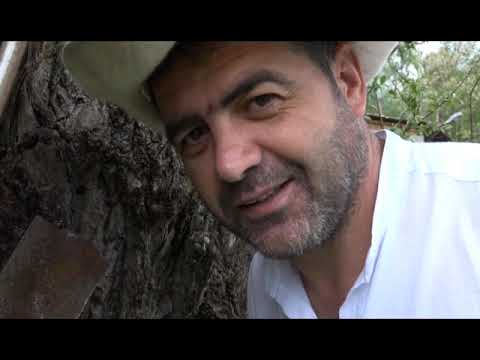 Видео: ЦЪРУЙЫ  ХЪÆУМÆ БАЛЦЫ