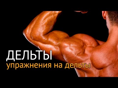 Видео: Упражнения на дельты - тренировка отстающих дельт